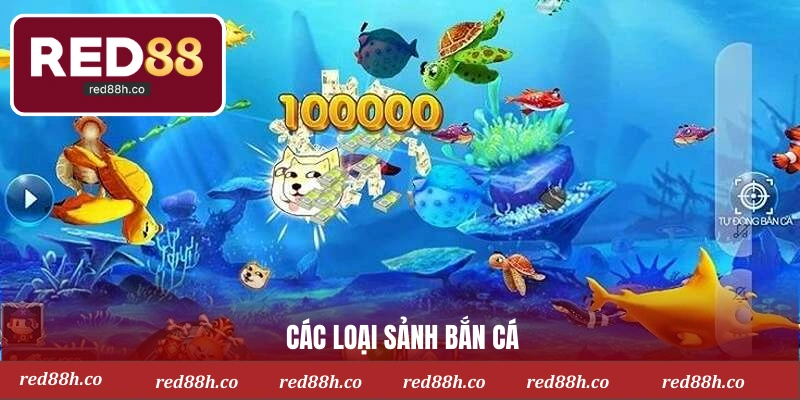 Các loại sảnh bắn cá