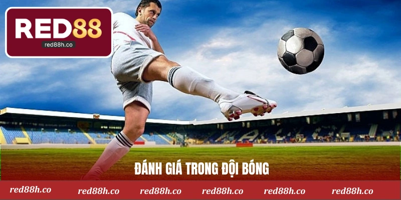 Đánh giá trong đội bóng