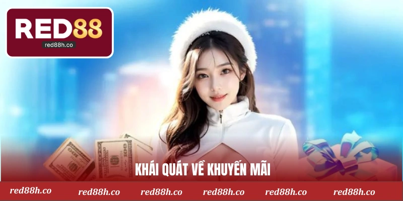 Khái quát về khuyến mãi