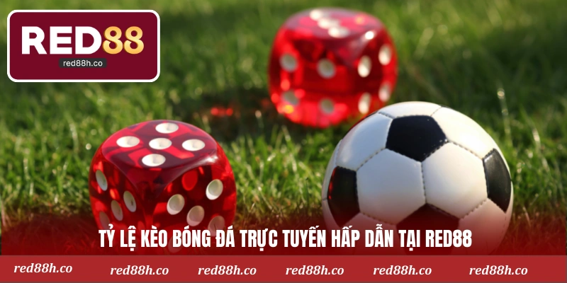 Tỷ lệ kèo bóng đá trực tuyến hấp dẫn tại RED88